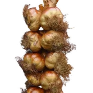 Gerookte Knoflook